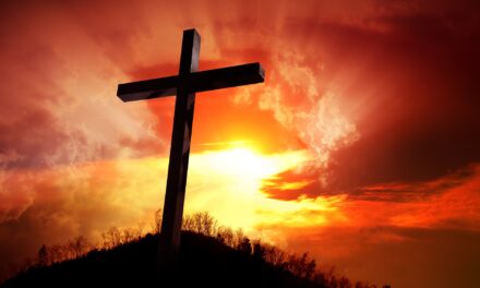 Total frihet i Jesus 31.1