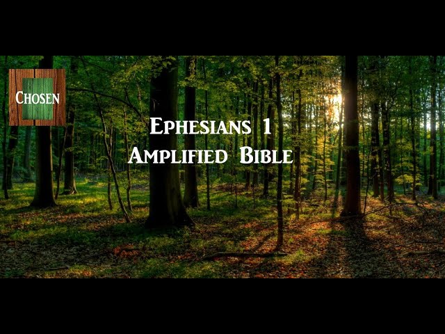 Ephesians 1 – Audio Amplified Bible