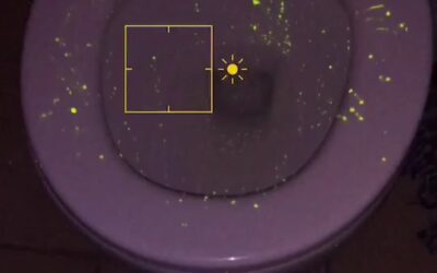 How to make your phone flashlight a “blacklight”  omg try this and see biological stains! #tutorial #diy #viral